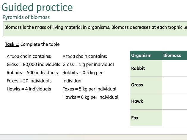Pyramids of biomass