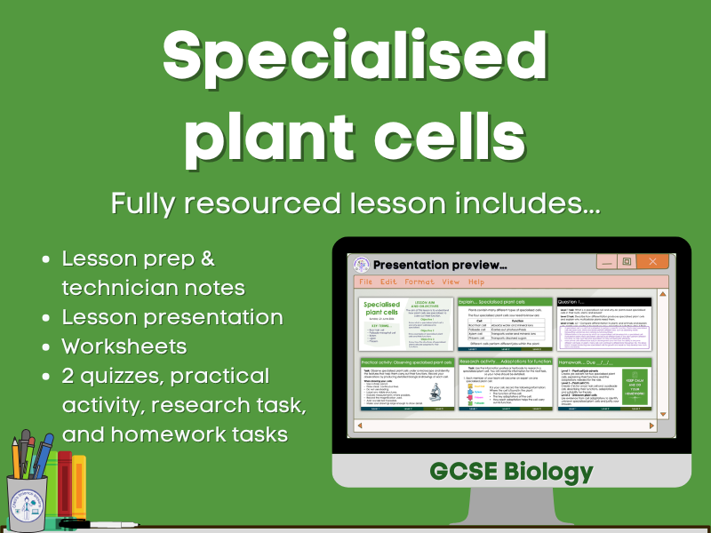 Specialised plant cells