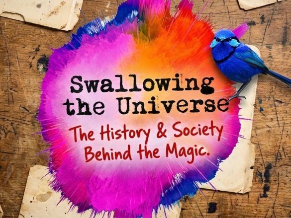 Boy Swallows Universe Novel Social Historical Context Activities English