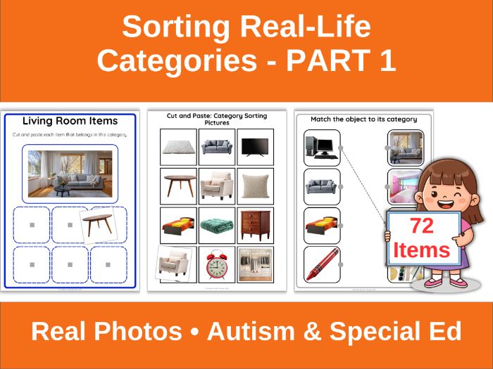 Real Photo Category Sorting | Autism (Part 1)