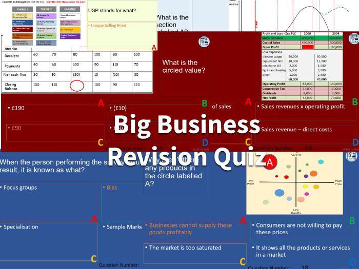 The Big Business Quiz: 443 slides of questions! Exam Revision!