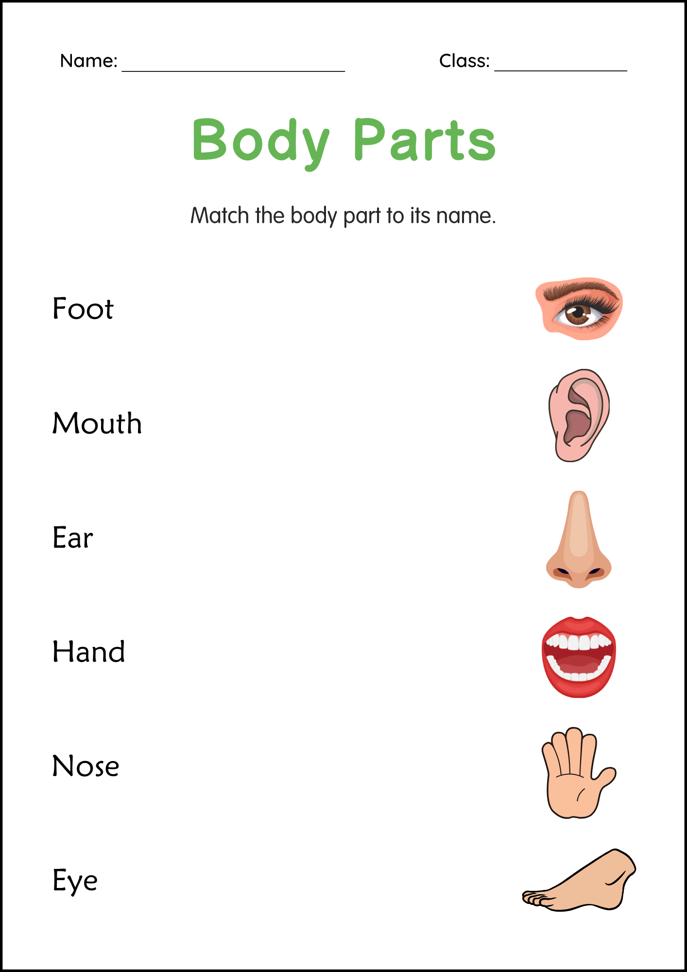 Printable Human Body Parts Worksheet - Body Parts Matching Activity for ...