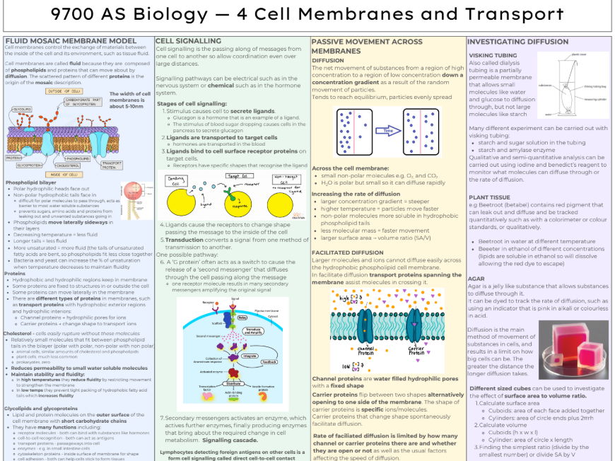 Cell Membranes and Knowledge Organiser AS Bio