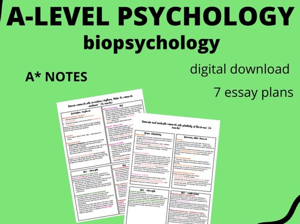 A LEVEL PSYCHOLOGY - Biopsychology 16 mark essay plans (AQA)