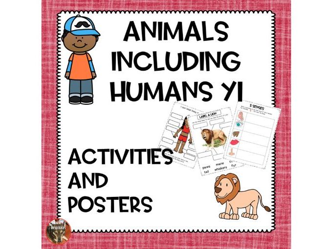 Animals Including Humans Year 1 Teaching Resources