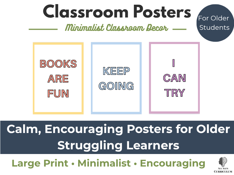 Classroom Posters | Minimalist Classroom Decor for Older Struggling Learners