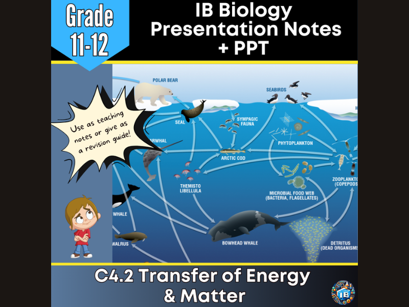 IB DP Biology C4.2 Transfer of Energy Teaching Notes & PowerPoint 2026