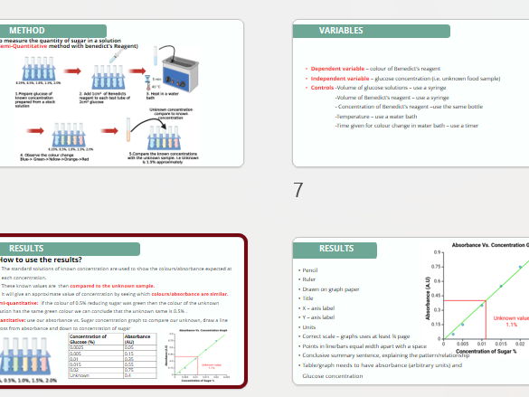 Core Practical 1 Benedict's test for reducing sugars