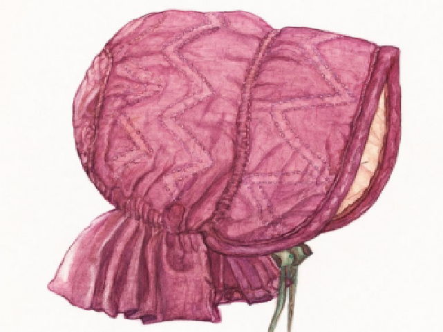 Changes for Felicity - Comprehension and Vocabulary