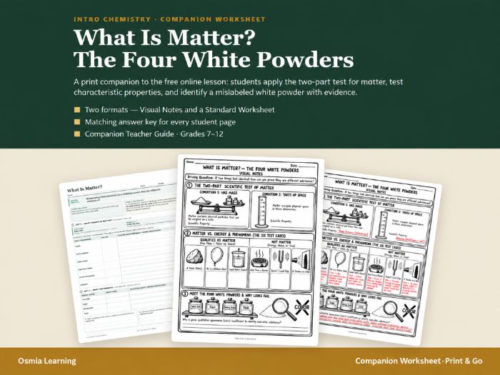 What Is Matter? Companion Worksheet Pack