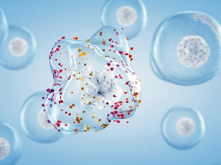 KS4 & KS5 Biology: How can we monitor disease in real time?