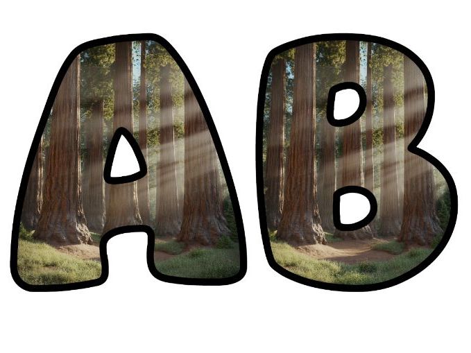Redwood Trees America USA Forest Alphabet Lettering Set | Classroom Display | Upper & Lowercase, 0-9