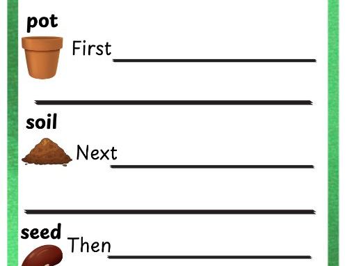 Plant a Bean Instructions and What you Need Worksheet (2 Worksheets)
