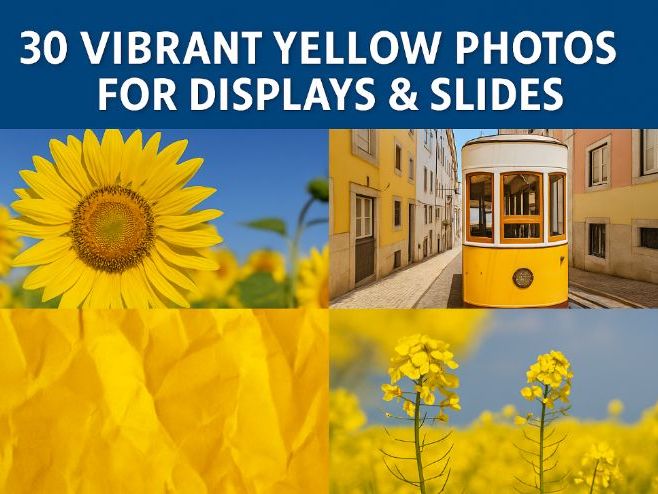 30 Vibrant Yellow Photos for Displays & Slides