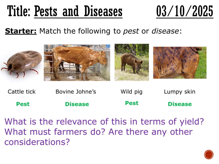Animal pests and diseases