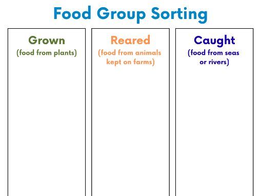 Food Sorting Groups - Grown, Reared, Caught