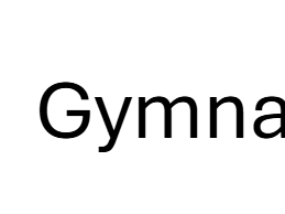 Secondary PE Gymnastics Performance Checklist & AfL Pack