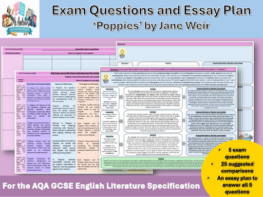 'Poppies' GCSE Exam Questions and Essay Plan