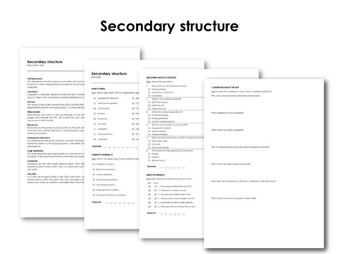 Secondary structure | Teaching Resources