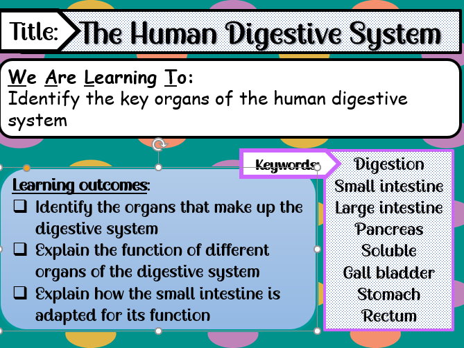 B3.2 The Human Digestive System AQA GCSE 91 Science GCSE Teaching
