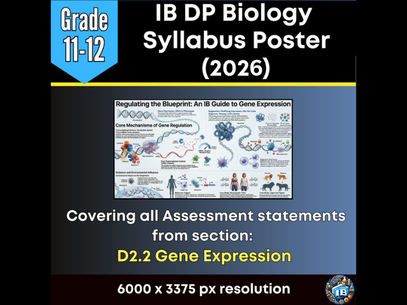 IB DP Biology Digital Infographic Poster: D2.2 Gene Expression (2026)