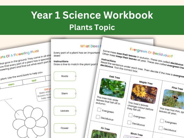 Year 1 Science: Plants Workbook | UK National Curriculum | Activities and Worksheets