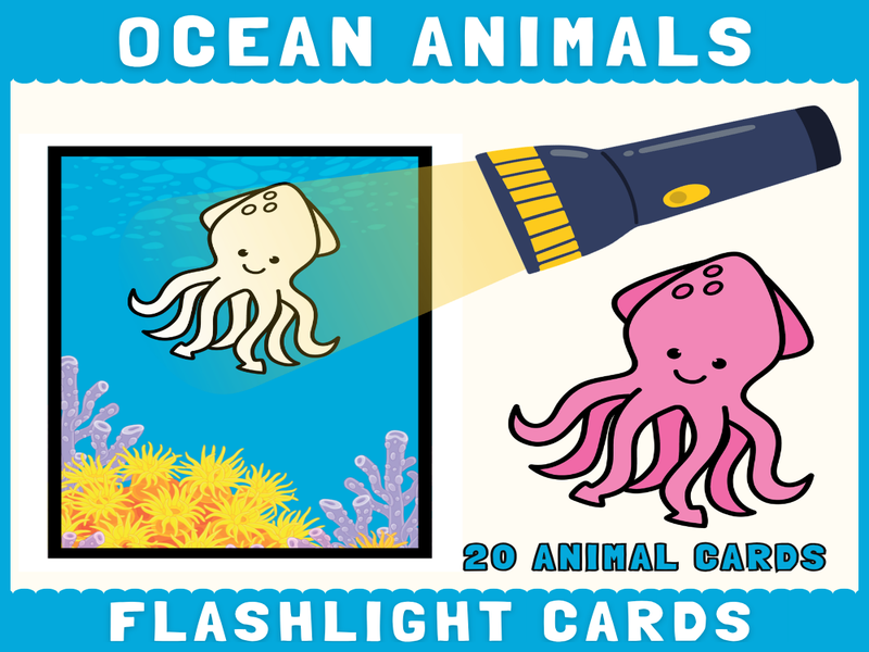Ocean & Sea Animals Flashlight Cards | Hidden Picture Reveal Science Activity