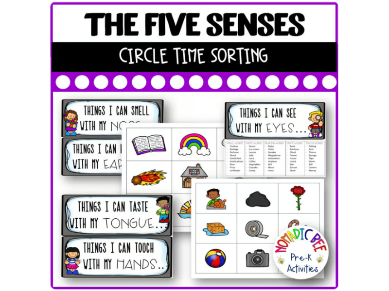 The 5 Senses Circle Time Sorting Activity or Literacy Center