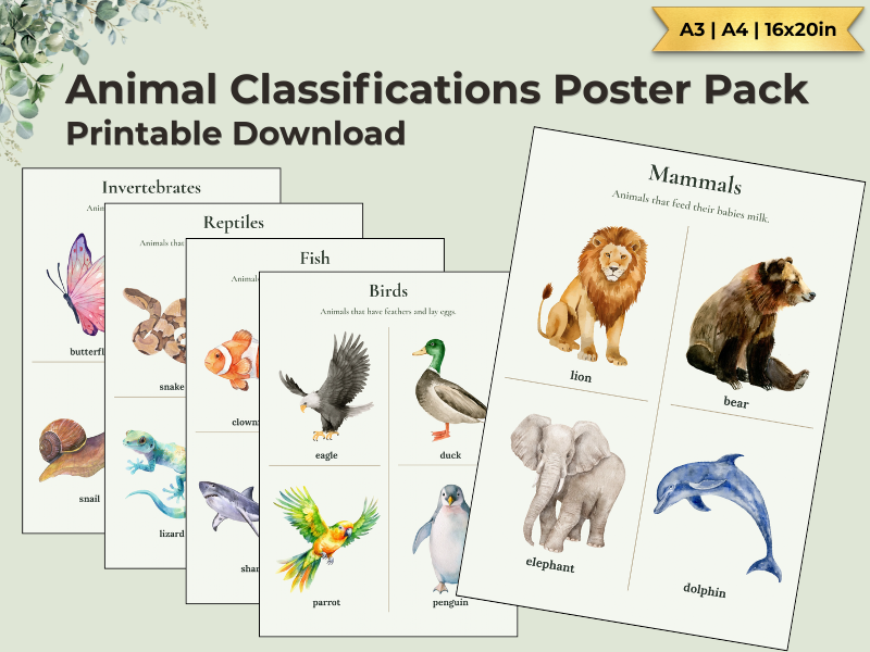 Animal Classification Posters | KS1 Science