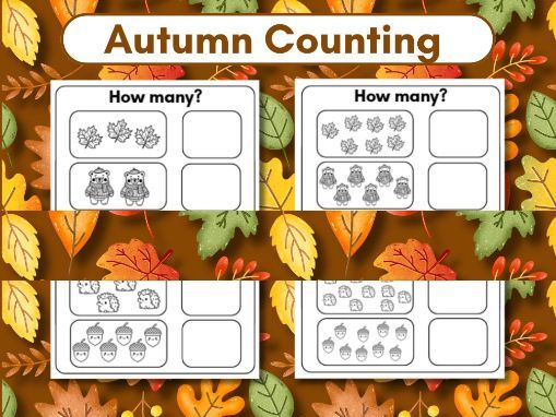 EYFS Autumn Counting
