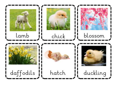 Spring Vocab cards square with real pictures
