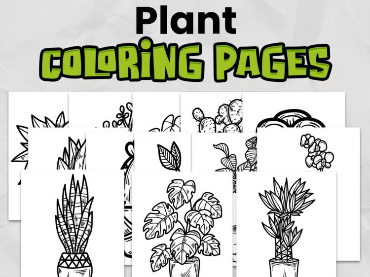 Plants Colouring Pages | Nature & Science Activity | Primary Printable