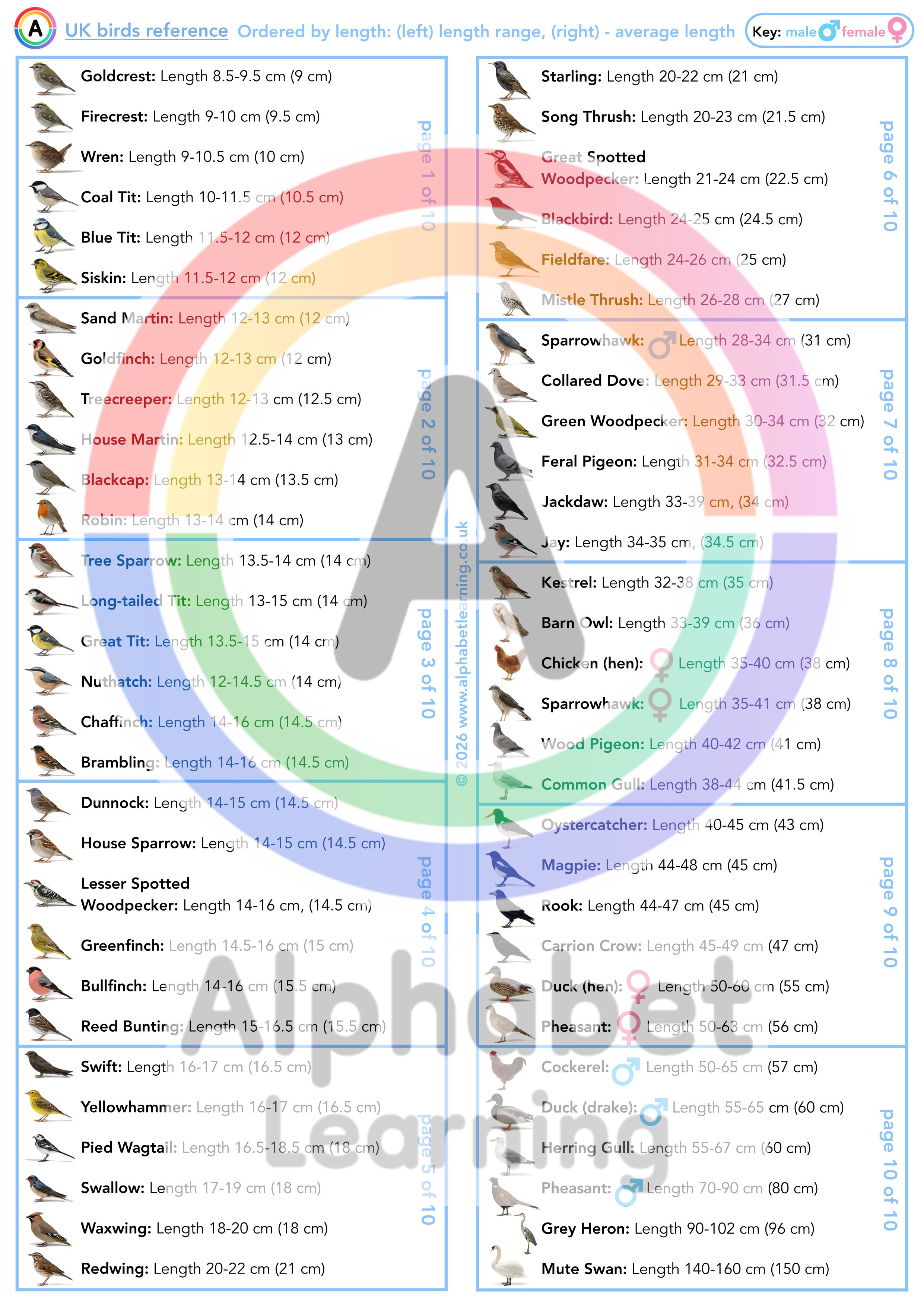 UK native bird species length measurement cards (60 birds) | EYFS, KS1 ...