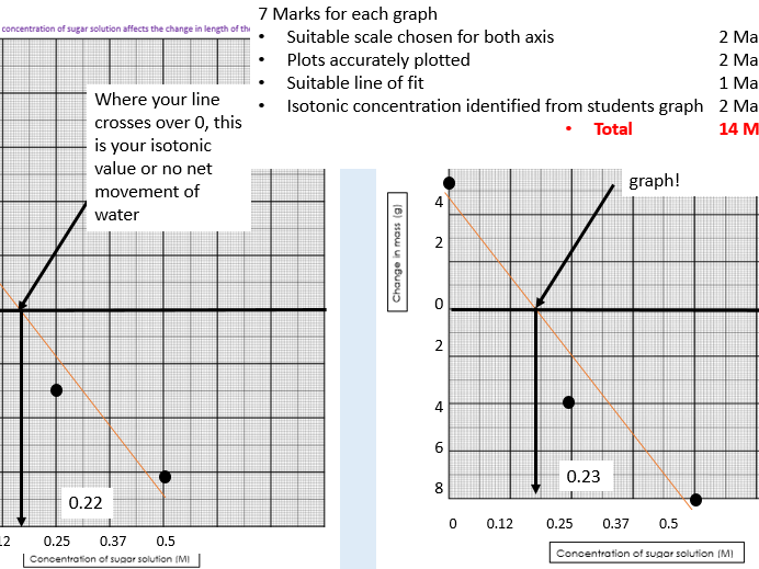 AQA Osmosis required practical feedback PowerPoint lesson with answers