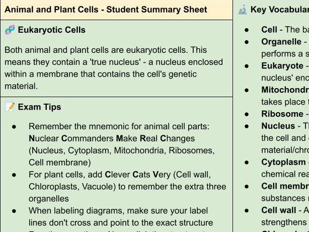 B1 AQA Trilogy Eukaryotic Cells Summary + Activity Sheet
