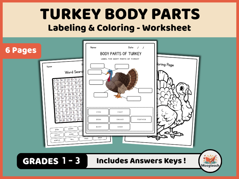 Turkey Body Parts Pack | Identification, Coloring & Word Search | Farm Animals | KS1 | KS2