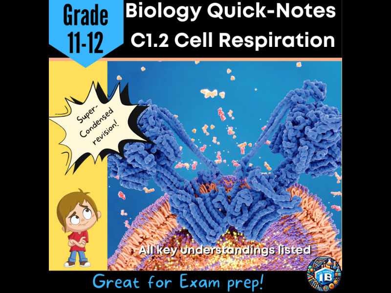 IB DP Biology: C1.2 Cell Respiration - Condensed Topic Notes 2026