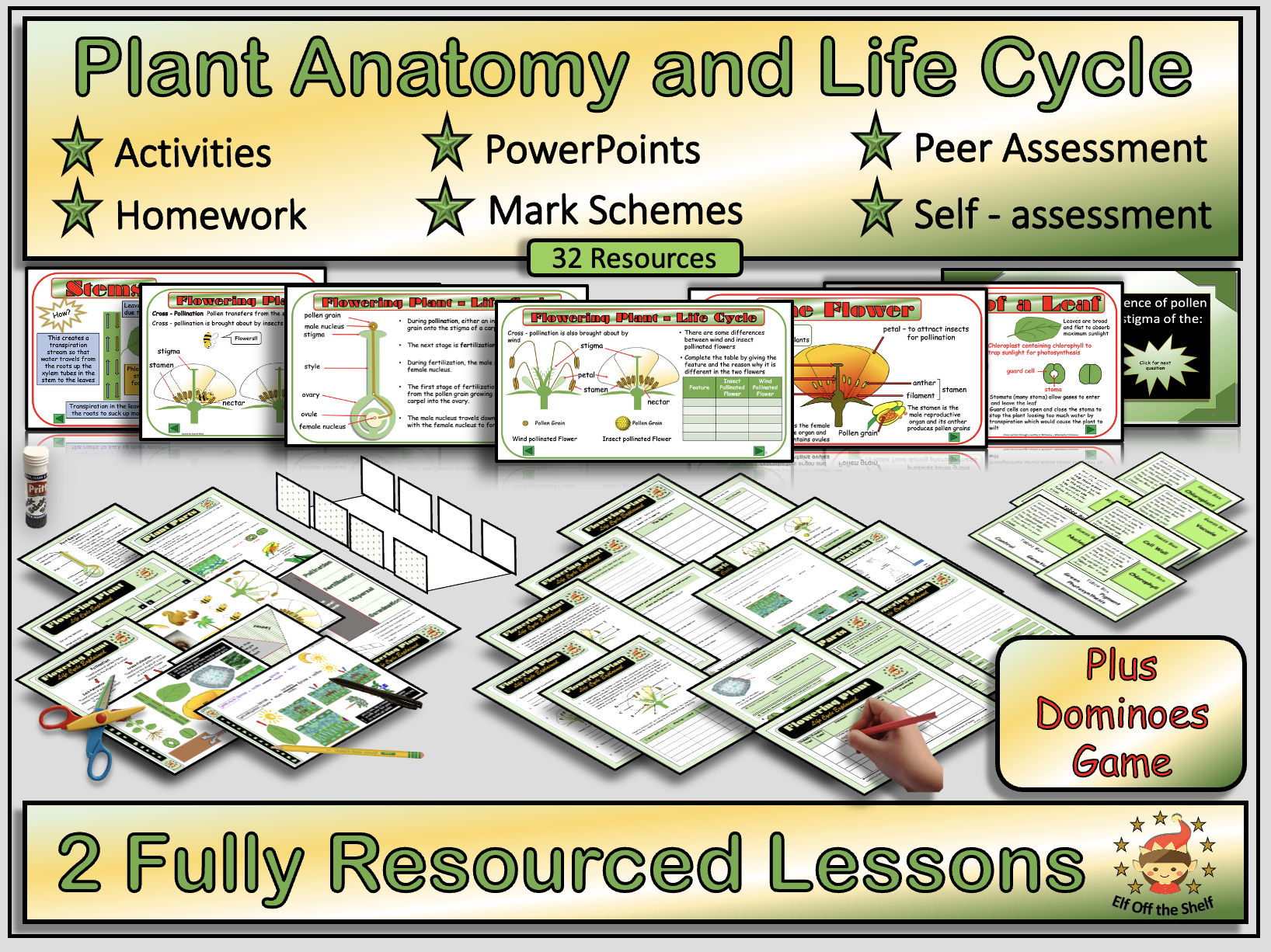 Plant Anatomy and Lifecycle 2 Fully Resourced Lessons Plus Dominoes Game KS3