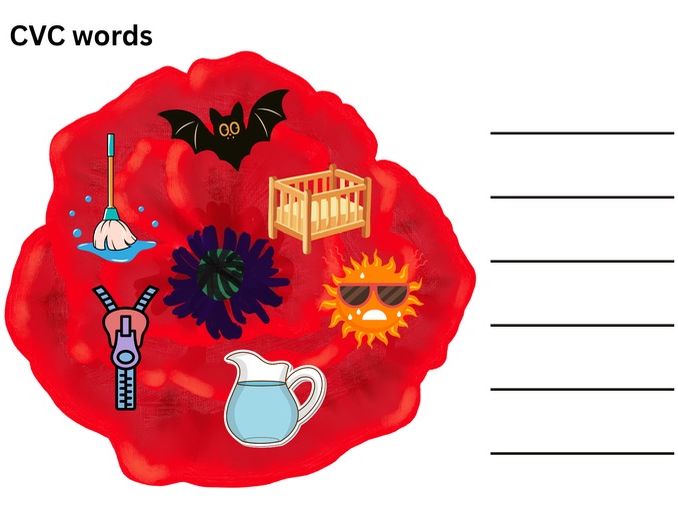 Poppy cvc words phonics sheet