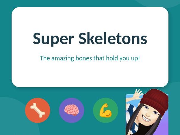 Super Skeletons — Year 3 Science