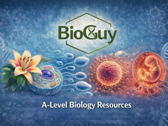 Edexcel B: 2.1 Cells & Microscopy