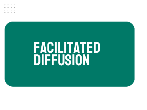 AP Biology Unit 2: Facilitated Diffusion