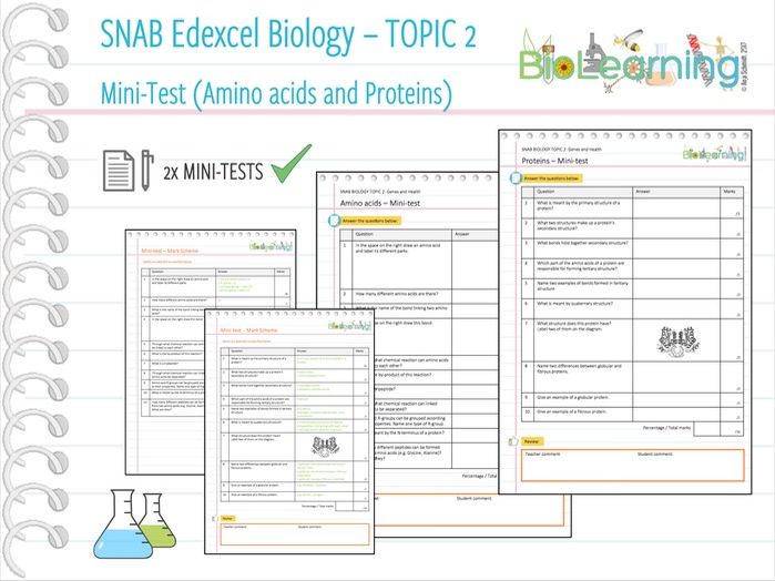 Amino acids and proteins 2x Minitests (KS5) Teaching Resources