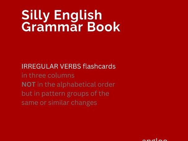 Silly English Grammar Book FLASHCARDS