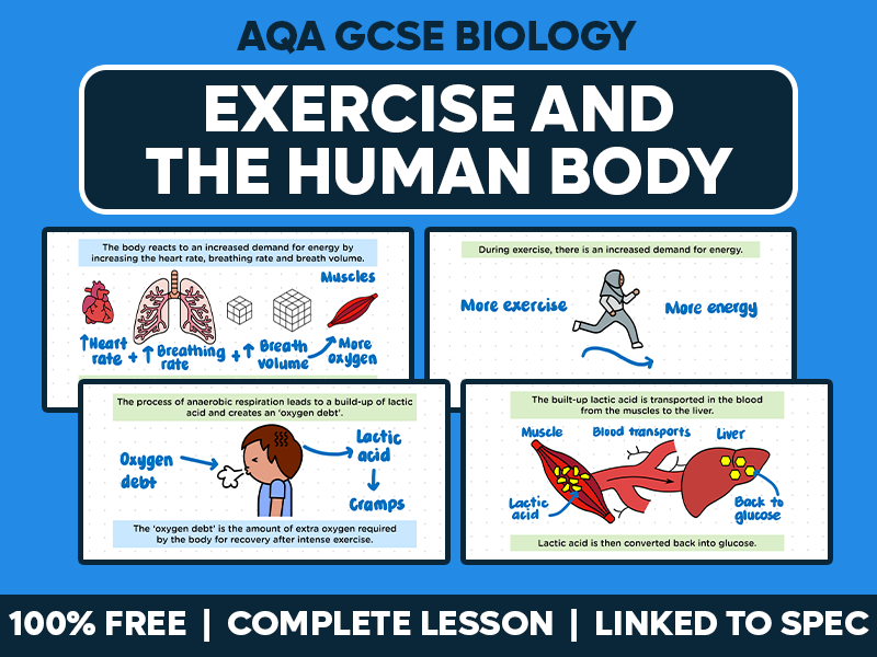 GCSE AQA Biology Complete Lesson - Exercise and the Human Body