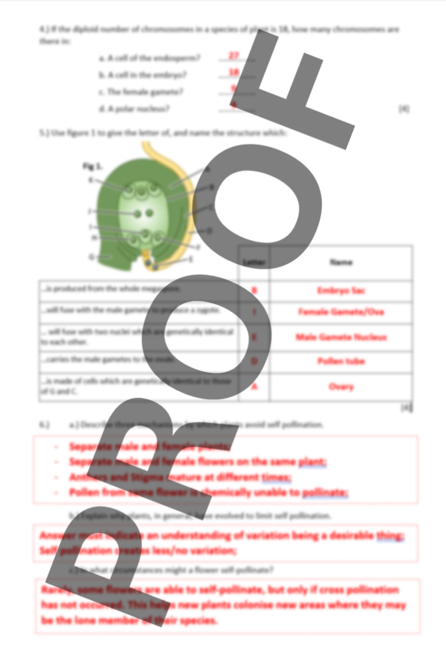 pdf, 233.48 KB