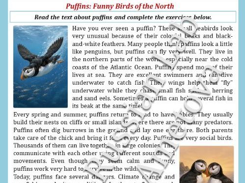 ESL Worksheet - Puffins: Funny Birds of the North