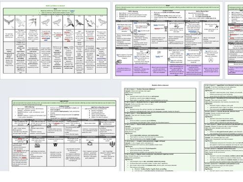 GCSE Literature: Higher Ability Themes and Motifs