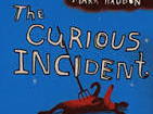 The Curious Incident of the Dog in the Night-time