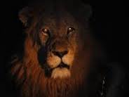 A Lion in the Night Readers' Theatre Script & Rubric